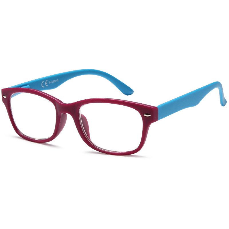 Reading glasses - Two-tone Frame - NV1164 - Wholesale Pack of 6