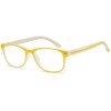 Reading glasses - Two-tone Frame - NV3015 - Wholesale Pack of 6
