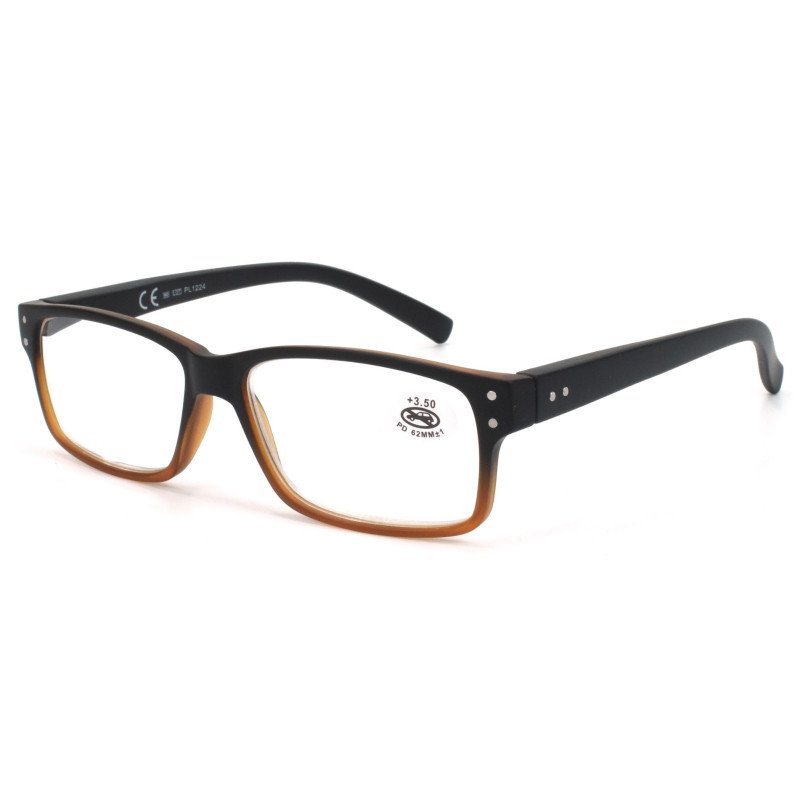 Reading glasses - Two-tone Frame - NV6473 - Wholesale Pack of 6