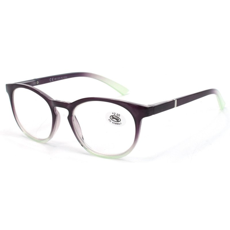 Reading glasses - Two-tone Frame - NV6619 - Wholesale Pack of 6