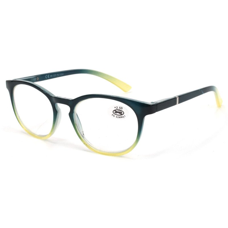Reading glasses - Two-tone Frame - NV6619 - Wholesale Pack of 6